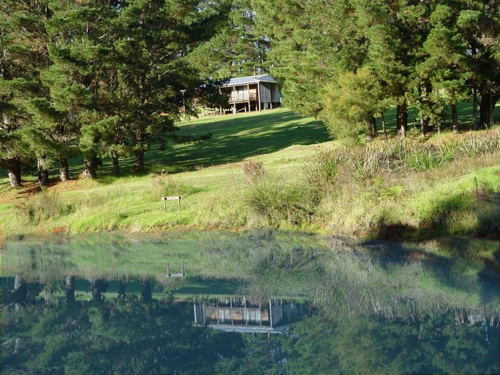 Hawke Brook Chalets Pemberton Kültér fotó
